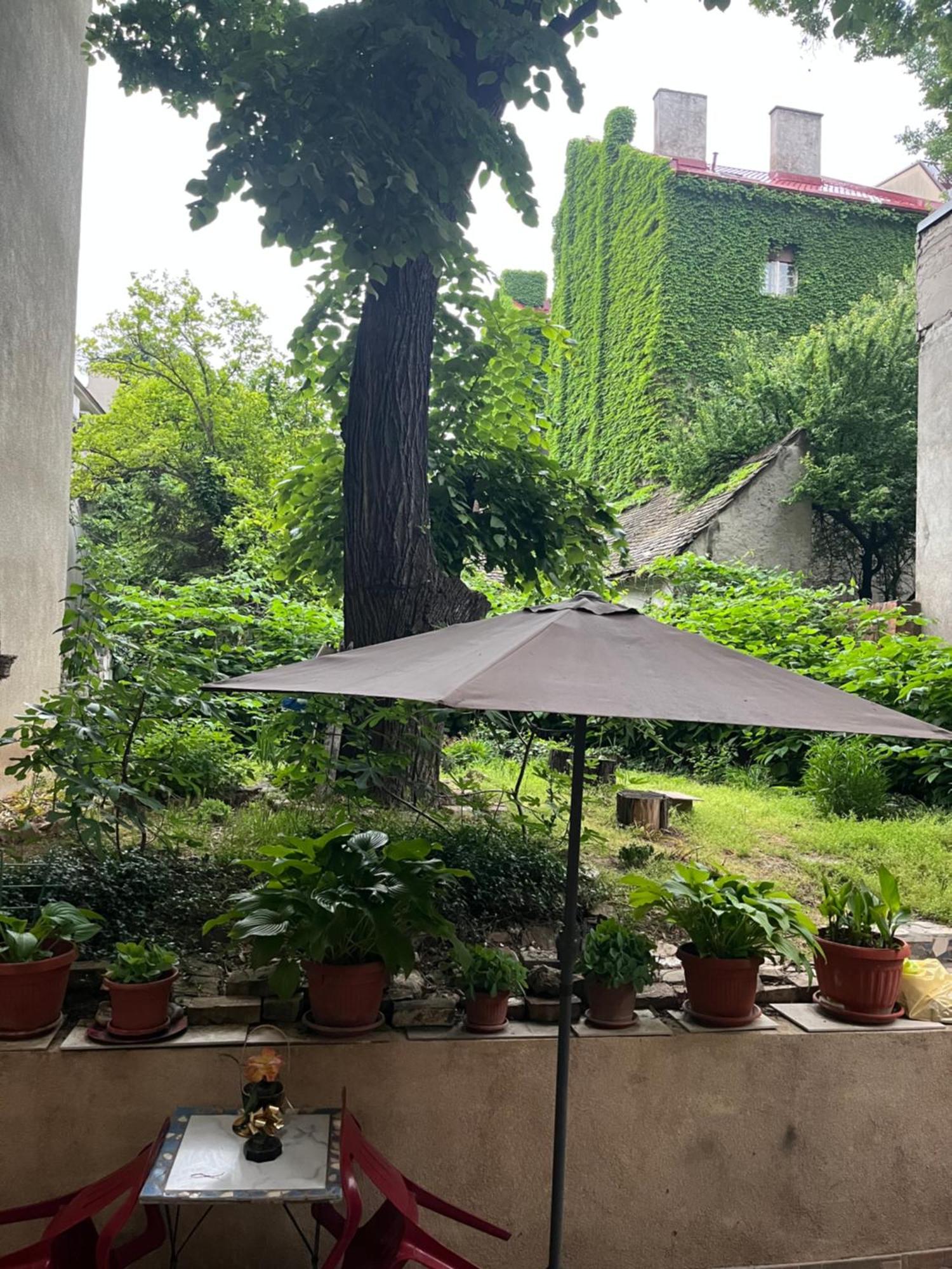 Mosaic Lägenhet Belgrad Exteriör bild